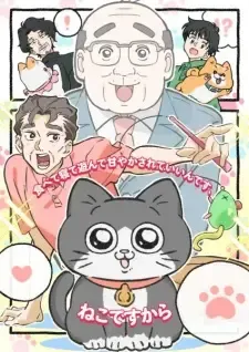 Neko ni Tensei shita Ojisan